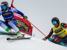 Coppa del Mondo skicross