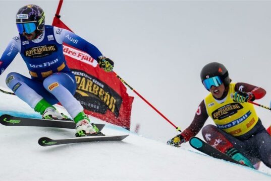 Coppa del Mondo skicross