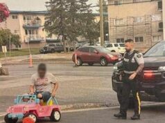 Guida la jeep di Barbie in strada, arrestato: “Non volevo andare a piedi”