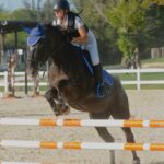 Equitando