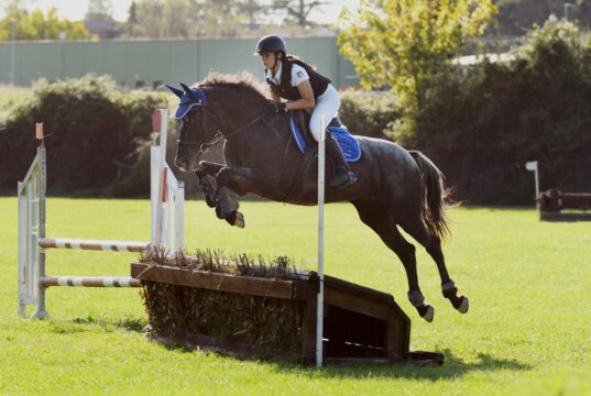 Equitando