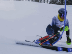 Matteo Bendotti