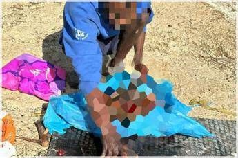 Orrore a Sezze, uccide e seziona un cane: guardie zoofile filmano tutto