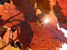 Sole e caldo ma solo per 48 ore, poi arriva il ciclone di Halloween: ecco il meteo che ci aspetta