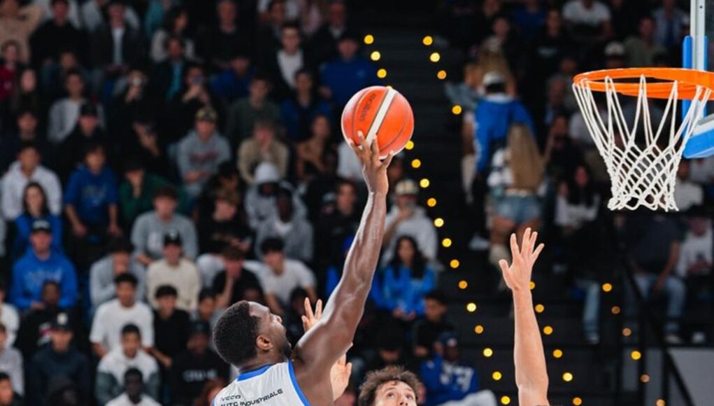 blu basket Blu Basket Bergamo