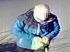 Donna accoltellata in Gae Aulenti: chi è Vincenzo Lanni, recidivo che colpisce a caso