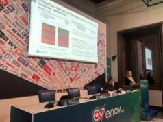 Enav, in Esg Day focus su sostenibilità che crea valore