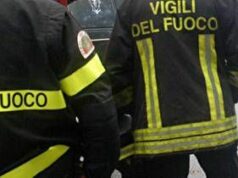 Maltempo a Roma, albero cade su auto all’Eur: un ferito