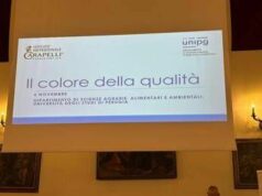 Olio, Inc: “Nuove evidenze scientifiche per preservare qualità evo in bottiglia”