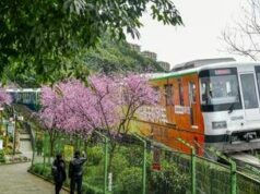 Tragedia in Cina: operai al lavoro travolti da un treno, 11 morti