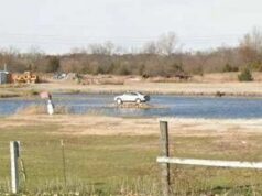 Volvo Island, l’isola bizzarra dove una Volvo S80 è parcheggiata da più di un decennio