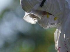 Aviaria, l’allarme dell’Ecdc: “In Europa più rischi per l’uomo”, cosa sta succedendo