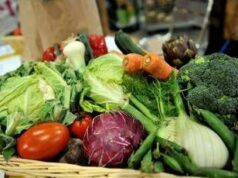 Microbioma alleato contro il mieloma: “Dieta ricca di fibre può frenarlo”