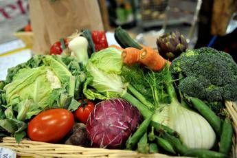 Microbioma alleato contro il mieloma: “Dieta ricca di fibre può frenarlo”