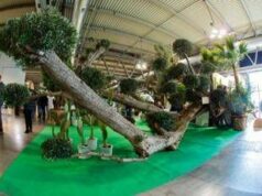 Myplant&Garden, X edizione dal 18 al 20 febbraio 2026 a Fiera Milano Rho