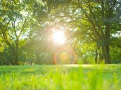 Poche nubi e niente neve, sarà ancora caldo anomalo: le previsioni meteo