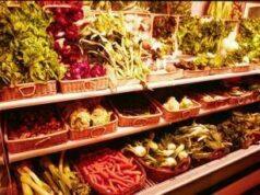 Dieta per cuore e cervello, 5 cibi molto utili e poco usati