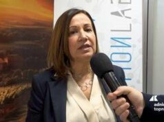 Imprese, Tiloca (CamCom Sassari): “Camera del Futuro portale modellato per aziende del Nord Sardegna”