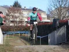 Andrea Lino Bertuletti