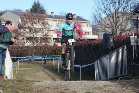 Andrea Lino Bertuletti