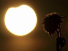 Eclissi solare parziale oggi 17 febbraio, dove si vede e a che ora