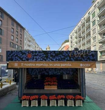 Giornata mondiale malattie rare, un’edicola di fiori per la campagna RareMeansCare