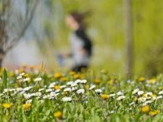 Stop alle piogge, arriva la primavera: sole e temperature in salita in tutta Italia