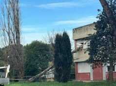 Paura a Roma, cade albero e sfonda finestra del liceo Orazio
