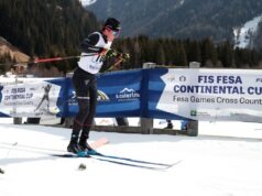 Fesa Cup
