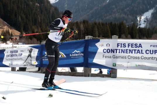 Fesa Cup