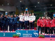 Ginnastica artistica