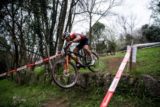 KTM Protek Elettrosystem