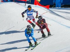 Coppa del Mondo skicross