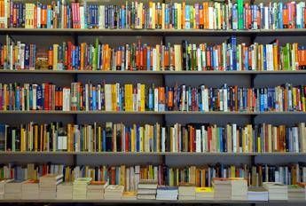 Da Pagani a Brambilla, ecco le novità in libreria