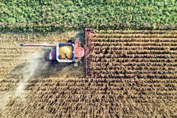 Hendron, Wild Bioscience: “Con nuove tecniche genomiche svolta storica per l’agricoltura europea”