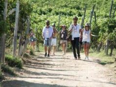 Turismo, UniCredit-Nomisma Wine Monitor: da quello del vino 3 miliardi di valore per cantine