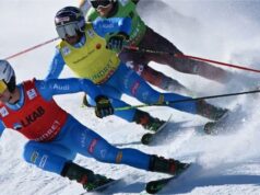 Coppa del Mondo skicross