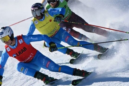 Coppa del Mondo skicross