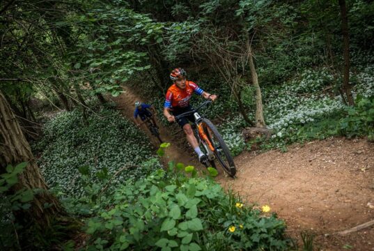 KTM Protek Elettrosystem