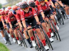 Isolmant-Premac-Vittoria