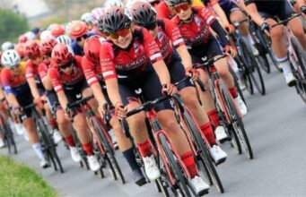 Isolmant-Premac-Vittoria