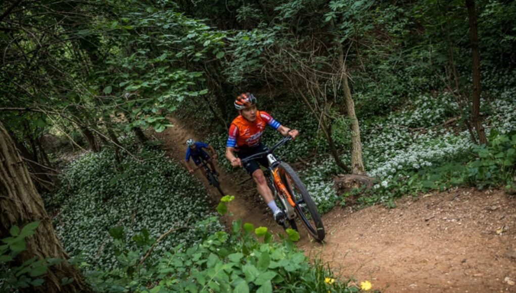 Team KTM Protek Elettrosystem