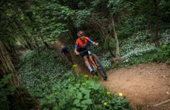 Team KTM Protek Elettrosystem