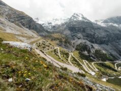 La Stelvio Santini 2026: un lungo weekend di ciclismo tra i passi alpini della Valtellina La Stelvio Santini