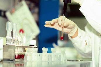 Antrace, vaiolo e virus ‘zombie’: l’indagine sui rischi nascosti nel ghiaccio da migliaia di anni
