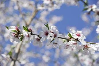 Dai temporali al bel tempo, arriva la prima fiammata estiva con 30-32°C nel weekend