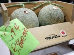 Due meloni venduti a 31mila euro, l’asta choc in Giappone per i frutti ‘d’oro’