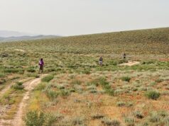 L’ultra runner Alberto Marchesani sulle orme di Alessandro Magno: dopo 230 km taglia il traguardo di Global Limits Uzbekistan Global Limits Uzbekistan
