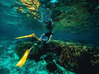 Italiani morti alle Maldive durante immersione, lo pneumologo: “Con concentrazioni elevate l’ossigeno diventa tossico”