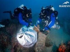 Marevivo-Arca Fondi, recuperata rete fantasma di 3mila m da fondali Siracusa
